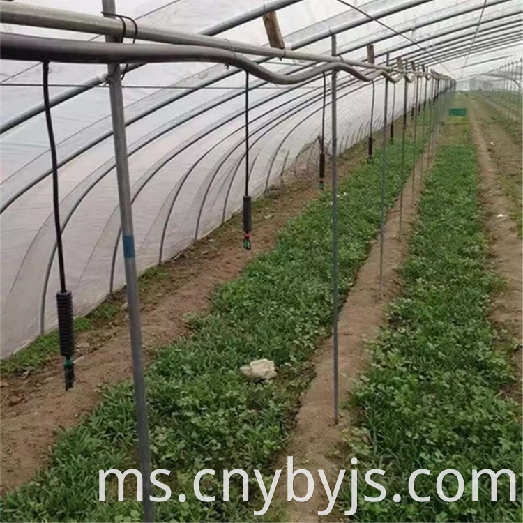 Drip Irrigation 86